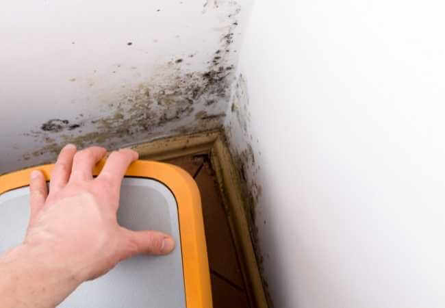 eliminar humedad en paredes interiores